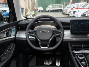 2022款520 欢乐版 方向盘