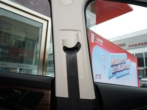 20221.5L PHEV ǻPlus g