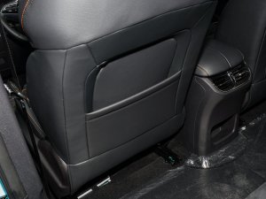 20221.5L PHEV ǻPlus g