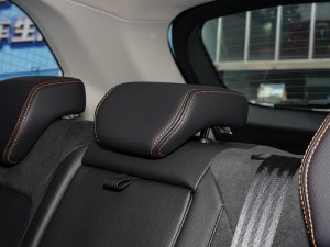 20221.5L PHEV ǻPlus g