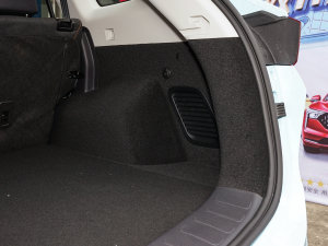 20221.5L PHEV ǻPlus g