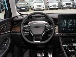 20221.5L PHEV ǻPlus P