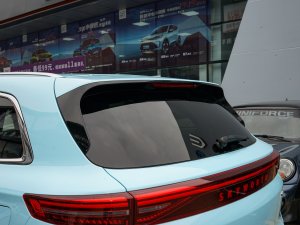 20221.5L PHEV hPlus ^