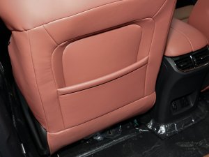 20221.5L PHEV hPlus g