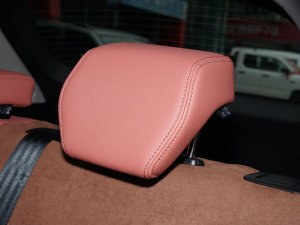 20221.5L PHEV hPlus g