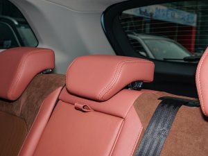 20221.5L PHEV hPlus g