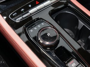 20221.5L PHEV hPlus QU