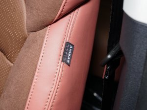 20221.5L PHEV hPlus п؅^