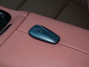 20221.5L PHEV hPlus ܇耳