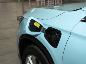 20221.5L PHEV Plus (x)(ji)^