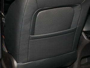 20221.5L PHEV Plus g