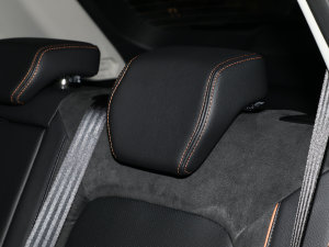 20221.5L PHEV Plus g