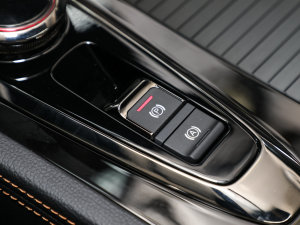 20221.5L PHEV Plus v܇Ƅ(dng)