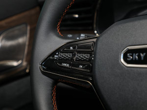 20221.5L PHEV Plus п؅^