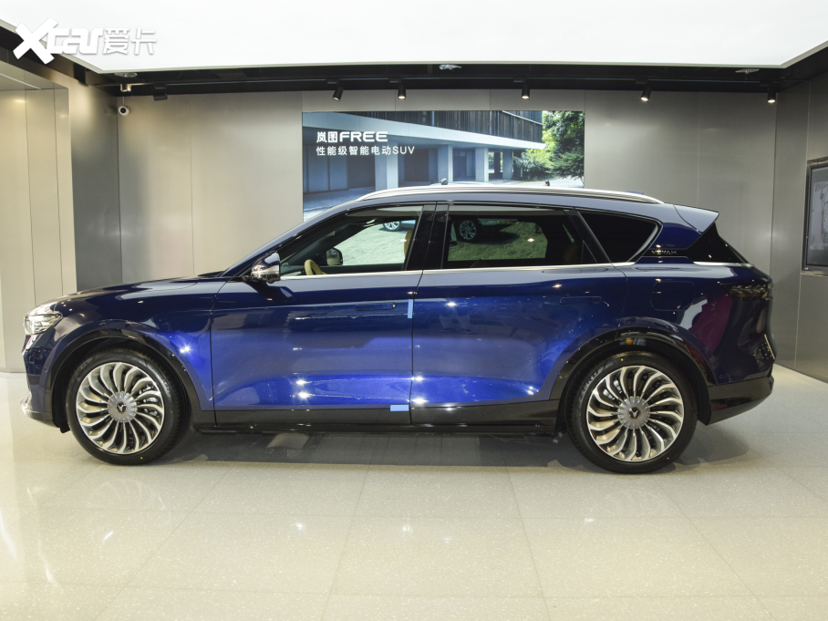 2021DFREE ̰ ٺAb