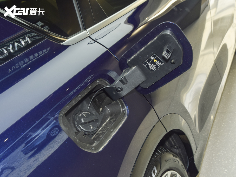 2021DFREE ̰ ٺAb