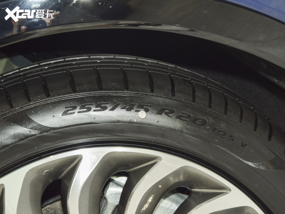 2021DFREE (q)̰ ٺAb