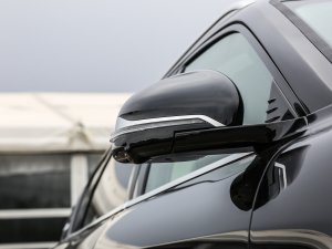 2021(q)װl(f)o(j)  (x)(ji)^