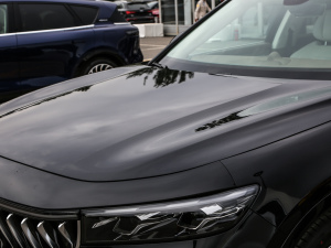 2021(q)װl(f)o(j)  (x)(ji)^