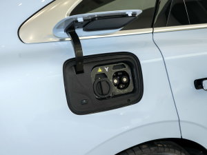 2023(q)(bio)(zhn) (x)(ji)^