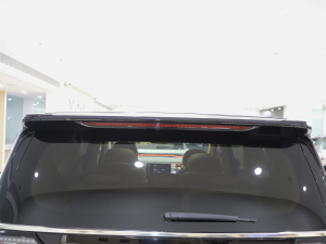 2025EV (q)ŞHi (x)(ji)^