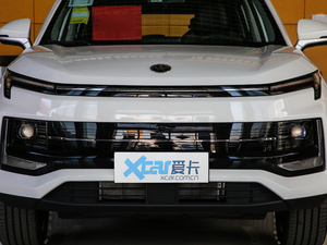 2021款战甲版 中网