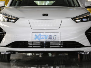 2021款尊享版 中网