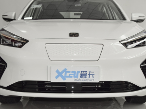 2021款畅享版 中网