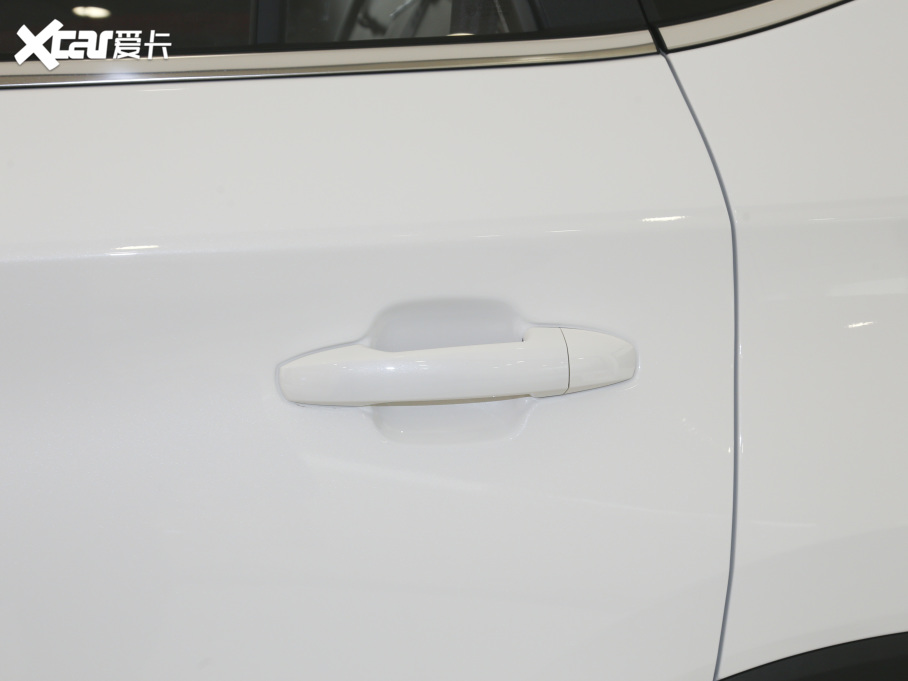 2021˼X8 300T DCTF(lin) 5