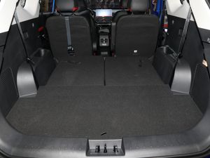 2021300T DCTŞ(lin) 6 g