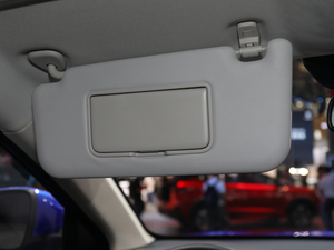 2021300T DCTŞ(lin) 6 g