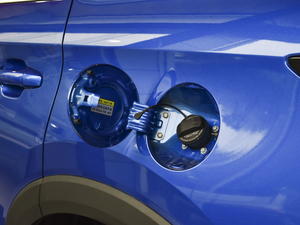 2021300T DCTA(lin) 7 w