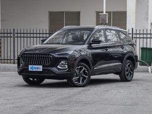 2021款300T 手动全景豪华版 5座 左前45度