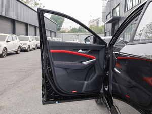 2021款300T 手动全景豪华版 5座 驾驶位车门