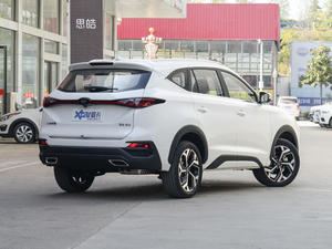 2021300T DCTF(lin) 6 w^