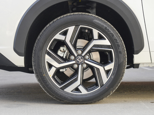 2021300T DCTF(lin) 6 (x)(ji)^