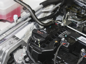 2021300T DCTF(lin) 6 