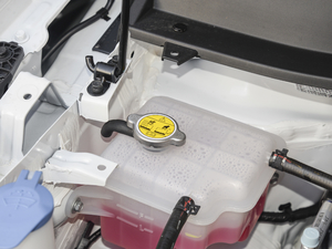 2021300T DCTF(lin) 6 