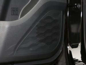 2021300T DCTŞ 5 g