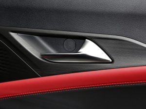 2021300T DCTŞ 5 g