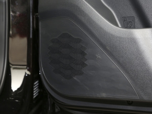 2021300T DCTŞ 5 g