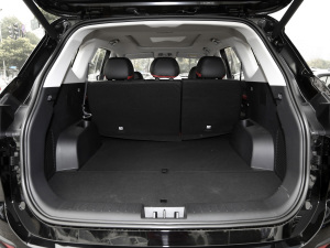 2021300T DCTŞ 5 g