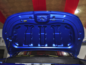 2021款300T DCT全景豪华版 7座 其它