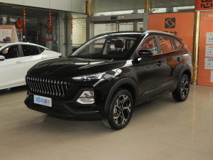 2021300T ք(dng)A(lin) 5 ǰ45