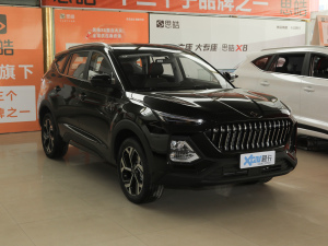 2021300T ք(dng)A(lin) 5 w^