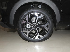 2021300T ք(dng)A(lin) 5 ݆Ȧ