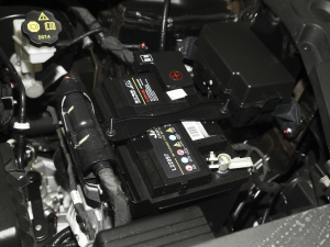 2021300T ք(dng)A(lin) 5 