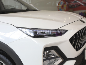 2021300T DCTF(lin) 5 (ji)^