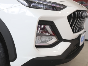 2021300T DCTF(lin) 5 (ji)^