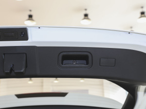 2021300T DCTF 5 п؅^